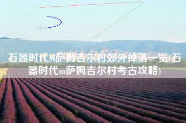 石器时代M萨姆吉尔村郊外掉落一览(石器时代m萨姆吉尔村考古攻略)