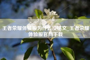 王者荣耀体验服为什么没铭文_王者荣耀体验服官网下载