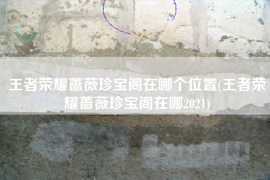 王者荣耀蔷薇珍宝阁在哪个位置(王者荣耀蔷薇珍宝阁在哪2021)