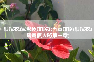 纸嫁衣3鸳鸯债攻略第五章攻略(纸嫁衣3鸳鸯债攻略第三章)