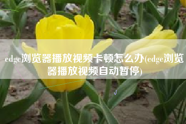 edge浏览器播放视频卡顿怎么办(edge浏览器播放视频自动暂停)