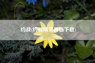 约战(约战精灵再临下载)