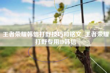 王者荣耀韩信打野技巧和铭文_王者荣耀打野专用ID韩信