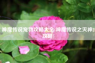 神魔传说宠物攻略大全(神魔传说之灭神2攻略)
