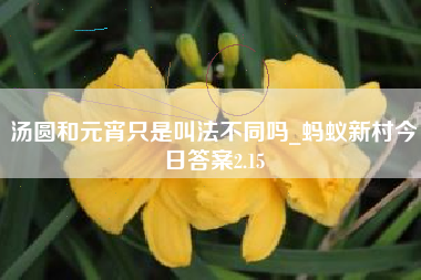 汤圆和元宵只是叫法不同吗_蚂蚁新村今日答案2.15