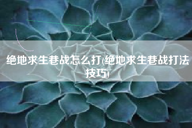 绝地求生巷战怎么打(绝地求生巷战打法技巧)