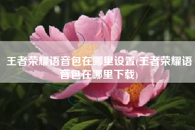 王者荣耀语音包在哪里设置(王者荣耀语音包在哪里下载)