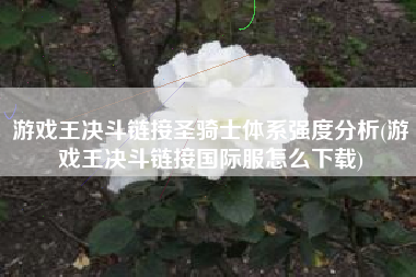 游戏王决斗链接圣骑士体系强度分析(游戏王决斗链接国际服怎么下载)
