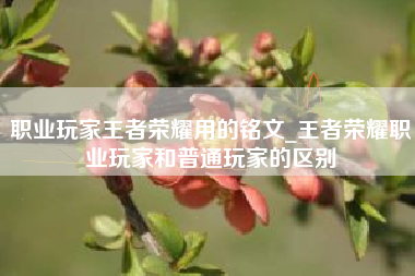 职业玩家王者荣耀用的铭文_王者荣耀职业玩家和普通玩家的区别