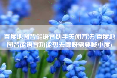 百度地图智能语音助手关闭方法(百度地图智能语音功能想去哪呀需要喊小度)