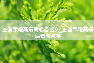 王者荣耀高端局必备铭文_王者荣耀高端局伤感名字