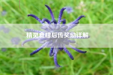 精灵食肆后传奖励详解