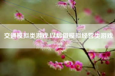 交通模拟类游戏,以后做模拟经营类游戏