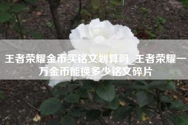 王者荣耀金币买铭文划算吗_王者荣耀一万金币能换多少铭文碎片