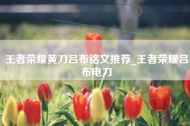 王者荣耀黄刀吕布铭文推荐_王者荣耀吕布电刀