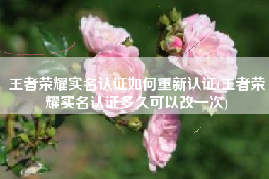 王者荣耀实名认证如何重新认证(王者荣耀实名认证多久可以改一次)