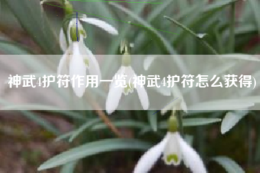 神武4护符作用一览(神武4护符怎么获得)