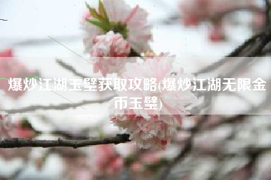 爆炒江湖玉璧获取攻略(爆炒江湖无限金币玉璧)