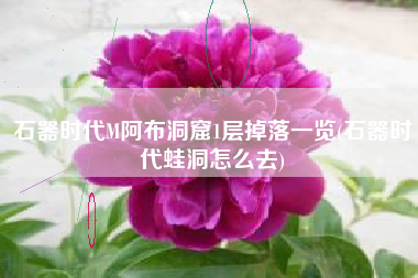 石器时代M阿布洞窟1层掉落一览(石器时代蛙洞怎么去)