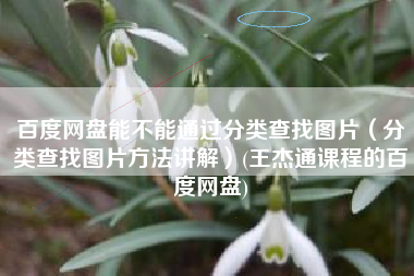 百度网盘能不能通过分类查找图片（分类查找图片方法讲解）(王杰通课程的百度网盘)