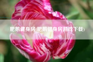 肥鹅健身房(肥鹅健身房游戏下载)