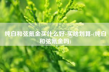纯白和弦氪金买什么好-买啥划算-(纯白和弦氪金吗)