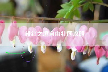 绯红之境自由社团攻略