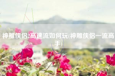 神雕侠侣2高速流如何玩(神雕侠侣一流高手)