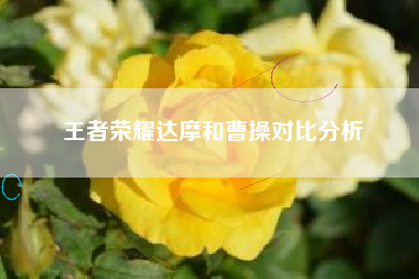 王者荣耀达摩和曹操对比分析