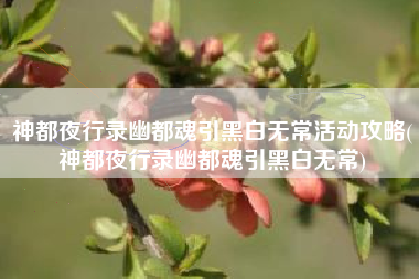 神都夜行录幽都魂引黑白无常活动攻略(神都夜行录幽都魂引黑白无常)