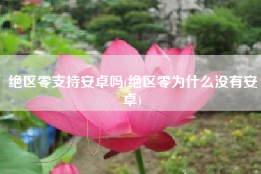 绝区零支持安卓吗(绝区零为什么没有安卓)