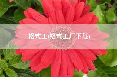 格式王(格式工厂下载)