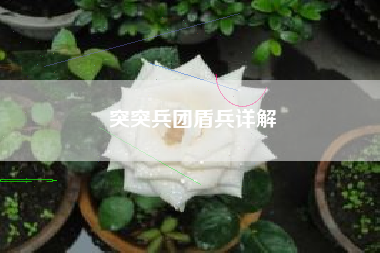 突突兵团盾兵详解