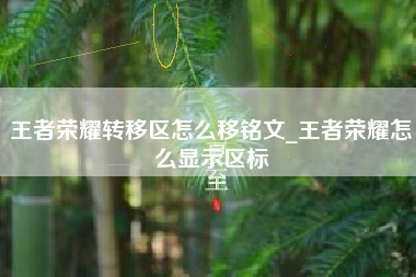 王者荣耀转移区怎么移铭文_王者荣耀怎么显示区标