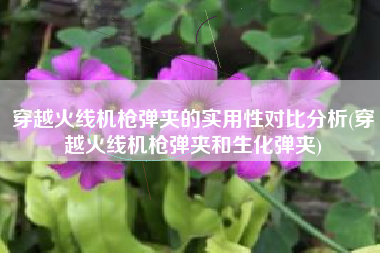 穿越火线机枪弹夹的实用性对比分析(穿越火线机枪弹夹和生化弹夹)