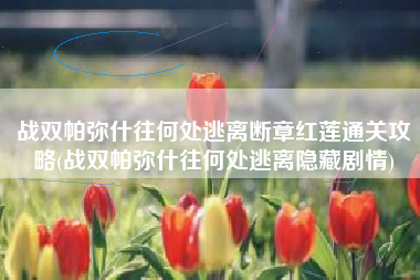 战双帕弥什往何处逃离断章红莲通关攻略(战双帕弥什往何处逃离隐藏剧情)