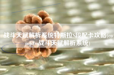 战斗天赋解析系统特斯拉S段配卡攻略(compass战斗天赋解析系统)