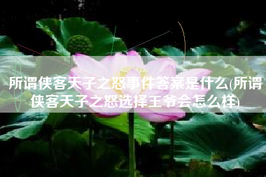 所谓侠客天子之怒事件答案是什么(所谓侠客天子之怒选择王爷会怎么样)