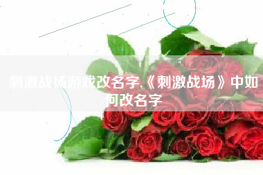 刺激战场游戏改名字,《刺激战场》中如何改名字
