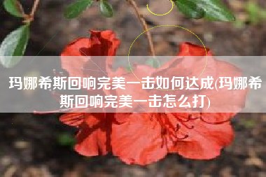 玛娜希斯回响完美一击如何达成(玛娜希斯回响完美一击怎么打)