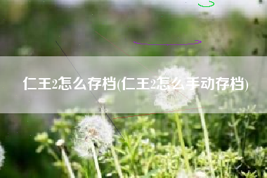 仁王2怎么存档(仁王2怎么手动存档)