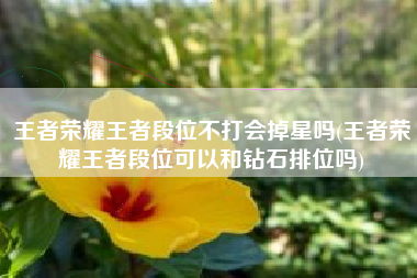 王者荣耀王者段位不打会掉星吗(王者荣耀王者段位可以和钻石排位吗)