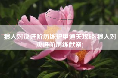 狼人对决进阶历练护甲通关攻略(狼人对决进阶历练献祭)