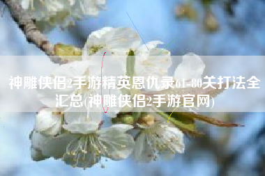 神雕侠侣2手游精英恩仇录61-80关打法全汇总(神雕侠侣2手游官网)