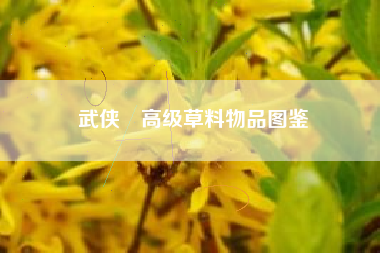 武侠乂高级草料物品图鉴