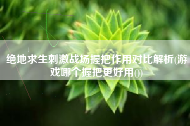 绝地求生刺激战场握把作用对比解析(游戏哪个握把更好用())