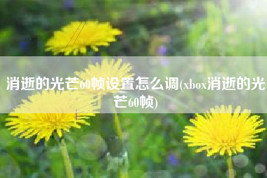 消逝的光芒60帧设置怎么调(xbox消逝的光芒60帧)