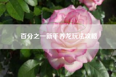百分之一新手养龙玩法攻略