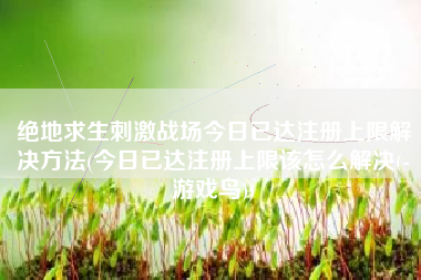绝地求生刺激战场今日已达注册上限解决方法(今日已达注册上限该怎么解决(-游戏鸟))