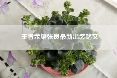 王者荣耀张良最新出装铭文